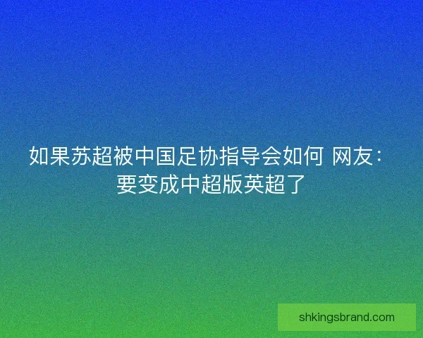 如果苏超被中国足协指导会如何 网友：要变成中超版英超了