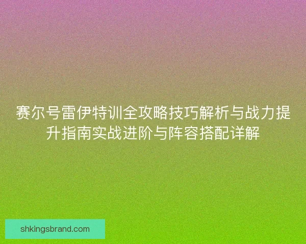 赛尔号雷伊特训全攻略技巧解析与战力提升指南实战进阶与阵容搭配详解