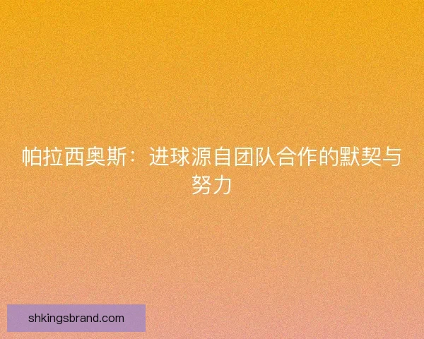 帕拉西奥斯：进球源自团队合作的默契与努力